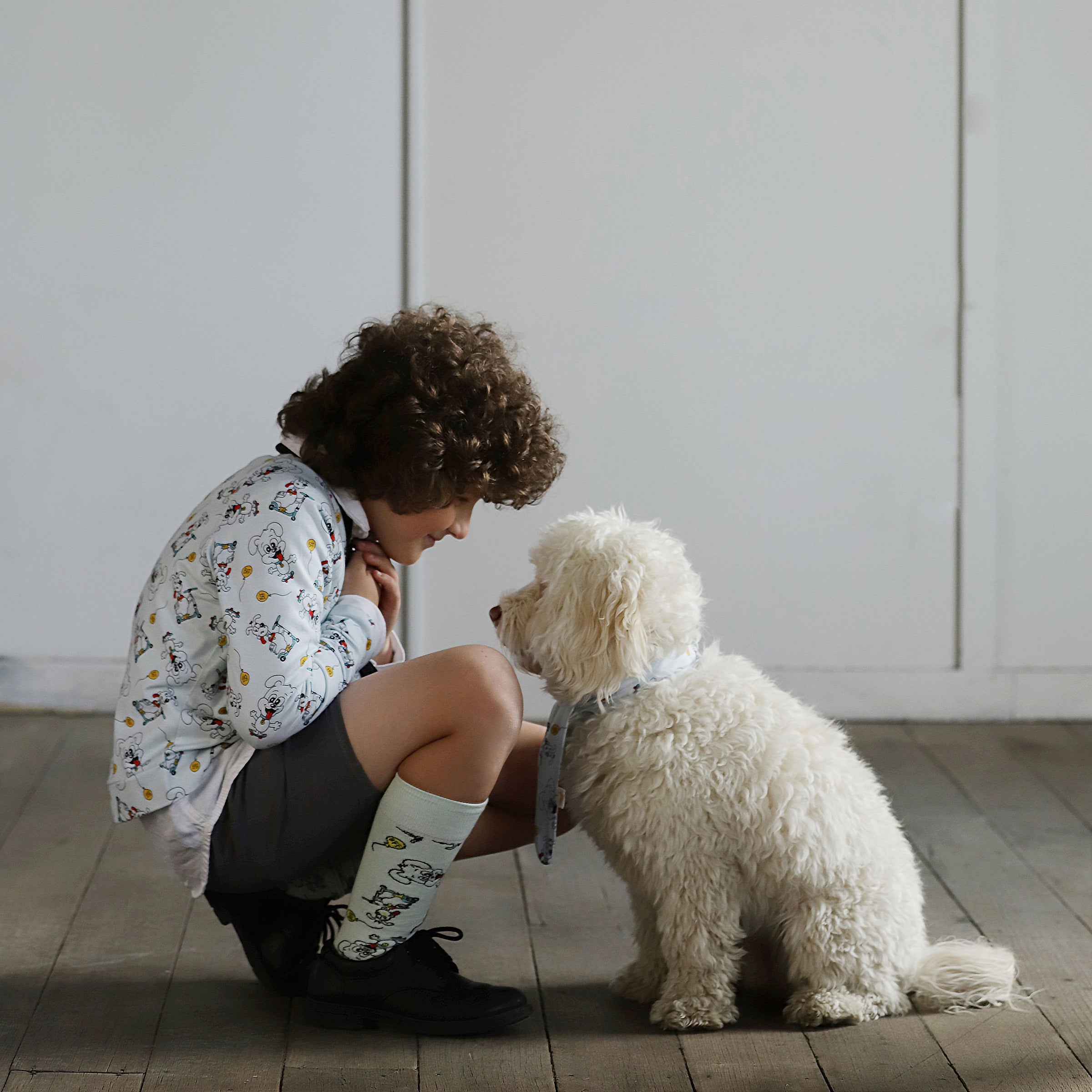 Boy sitting on the floor with a small white dog in a room with wooden flooring and white walls.
