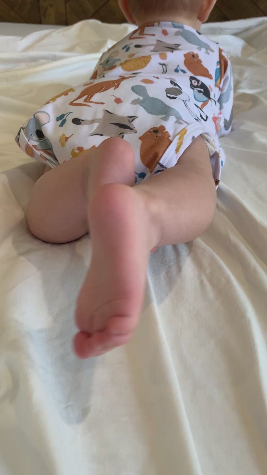 Feather-and-fur-baby-boy-video